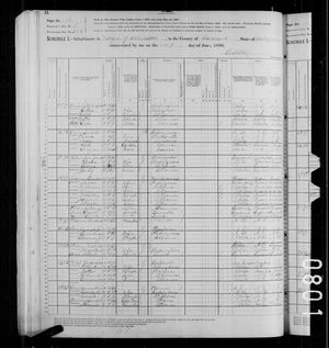 1880 United States Federal Census