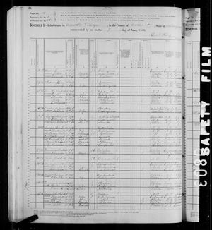 1880 United States Federal Census