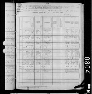 1880 United States Federal Census