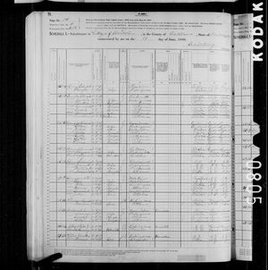 1880 United States Federal Census