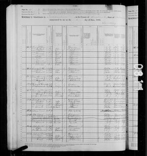 1880 United States Federal Census