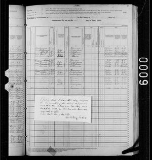 1880 United States Federal Census