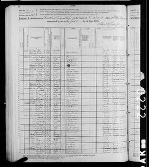 1880 United States Federal Census