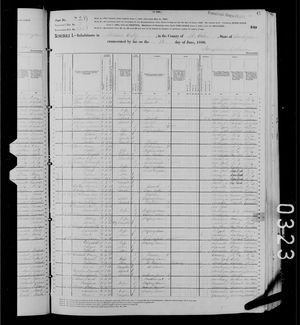 1880 United States Federal Census