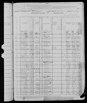 1880 United States Federal Census