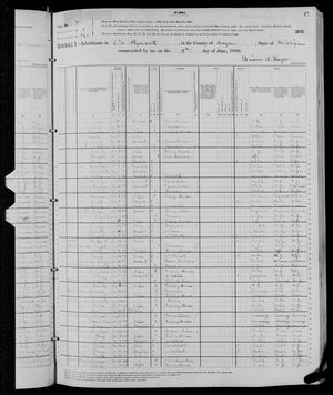 1880 United States Federal Census