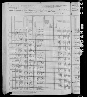 1880 United States Federal Census