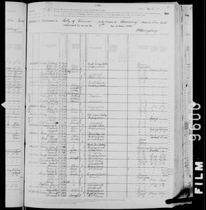 1880 United States Federal Census