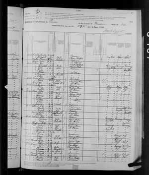 1880 United States Federal Census