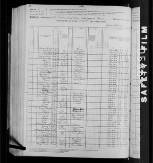 1880 United States Federal Census