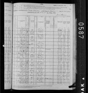 1880 United States Federal Census