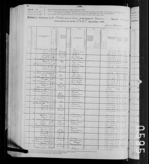 1880 United States Federal Census