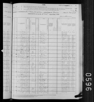 1880 United States Federal Census