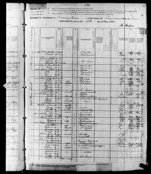 1880 United States Federal Census