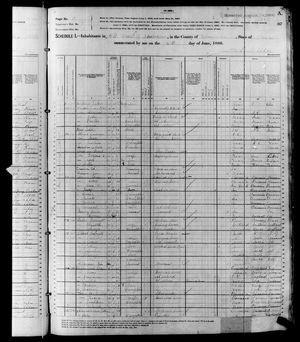 1880 United States Federal Census