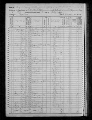 1870 United States Federal Census