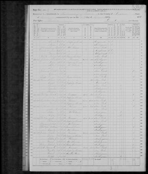 1870 United States Federal Census