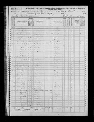 1870 United States Federal Census