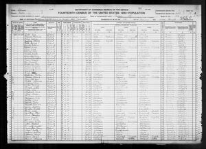 1920 United States Federal Census