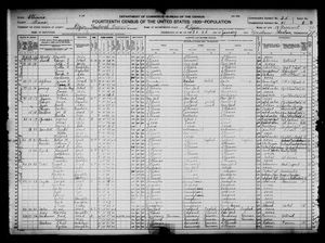 1920 United States Federal Census