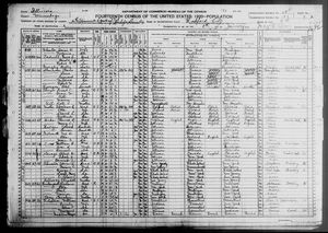 1920 United States Federal Census