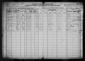 1920 United States Federal Census