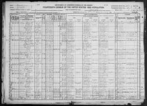 1920 United States Federal Census