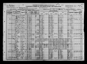 1920 United States Federal Census