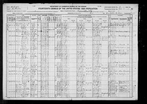 1920 United States Federal Census