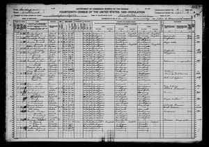 1920 United States Federal Census