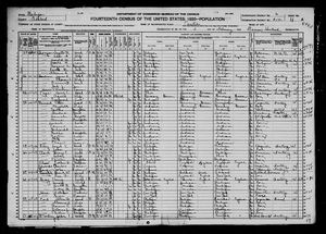 1920 United States Federal Census