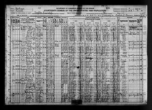 1920 United States Federal Census