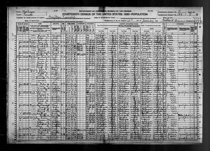 1920 United States Federal Census