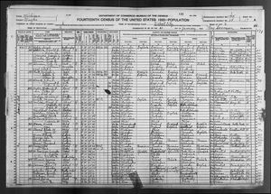 1920 United States Federal Census