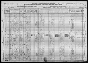 1920 United States Federal Census