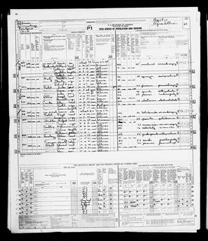 1950 United States Federal Census