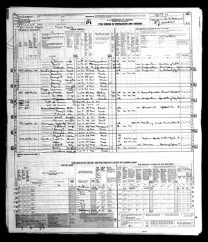 1950 United States Federal Census