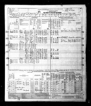 1950 United States Federal Census