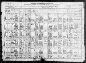 1920 United States Federal Census