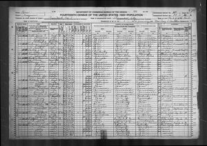 1920 United States Federal Census