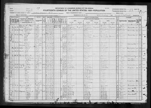 1920 United States Federal Census