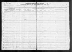 1920 United States Federal Census