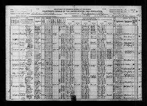 1920 United States Federal Census