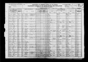 1920 United States Federal Census