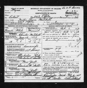 Michigan, U.S., Death Records, 1867-1952