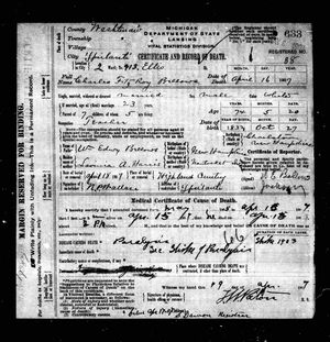 Michigan, U.S., Death Records, 1867-1952