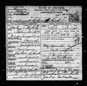 Michigan, U.S., Death Records, 1867-1952