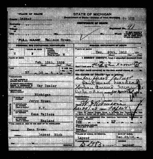 Michigan, U.S., Death Records, 1867-1952