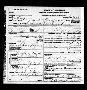 Michigan, U.S., Death Records, 1867-1952