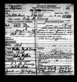 Michigan, U.S., Death Records, 1867-1952